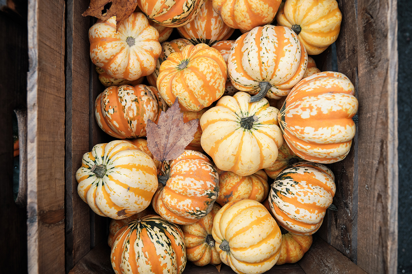 North End Farmers Market