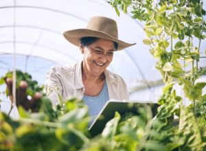 Farmer, woman and tablet in greenhouse for agriculture, farming and sustainability with or e commer.