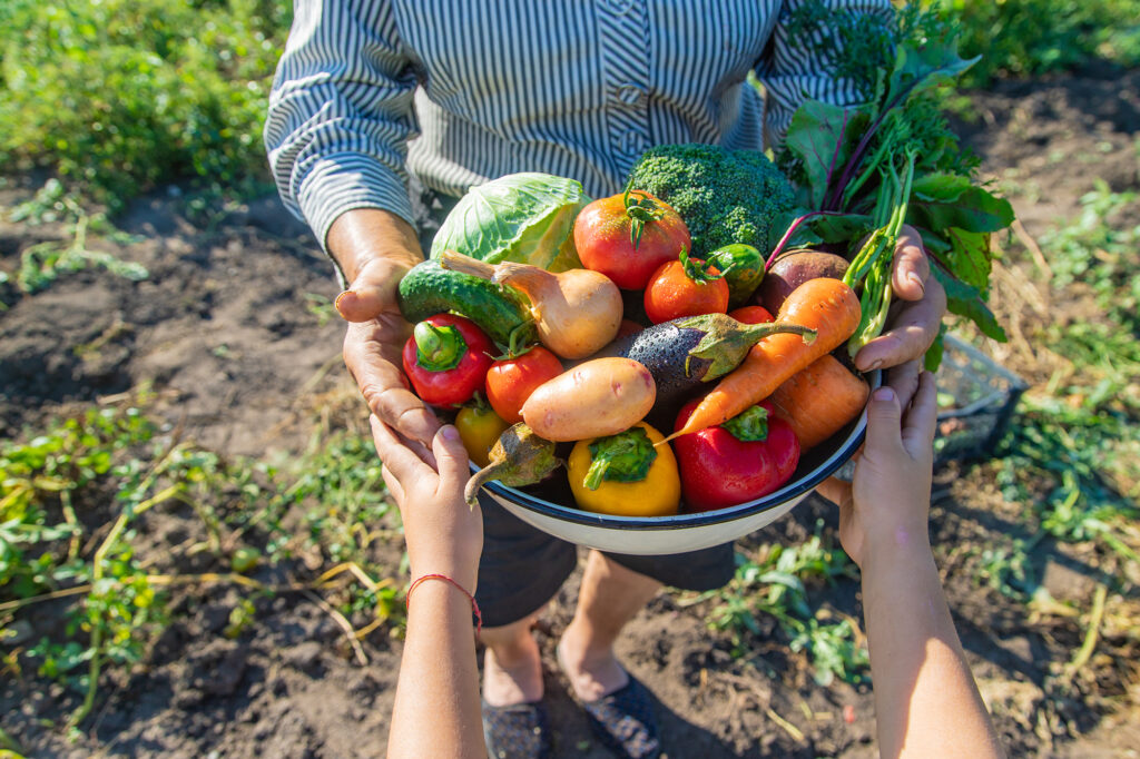 Child and grandmother in the garden with vegetables in their hands. Selective focus. nature.